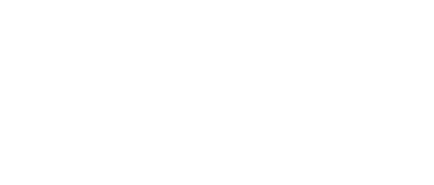 Luxury Travel Host